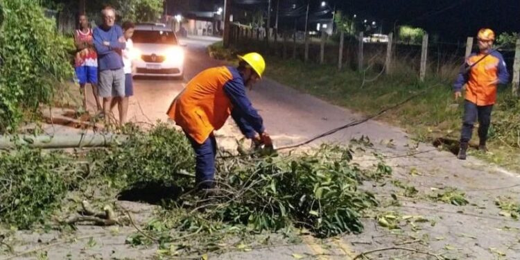 Reprodução / Defesa Civil